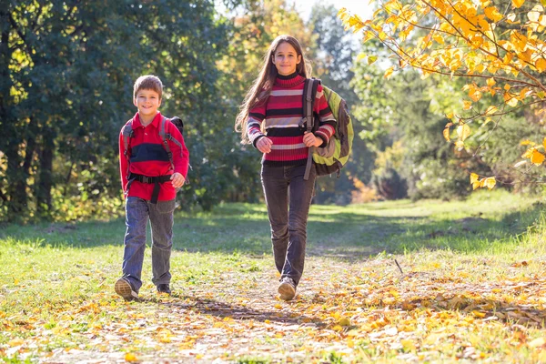 Двое детей идут по осеннему лесу с рюкзаками — стоковое фото
