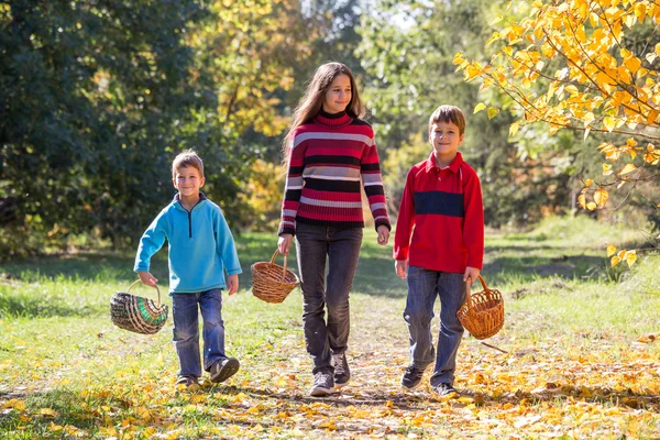 Három gyerek kosarak őszi erdő séta — Stock Fotó
