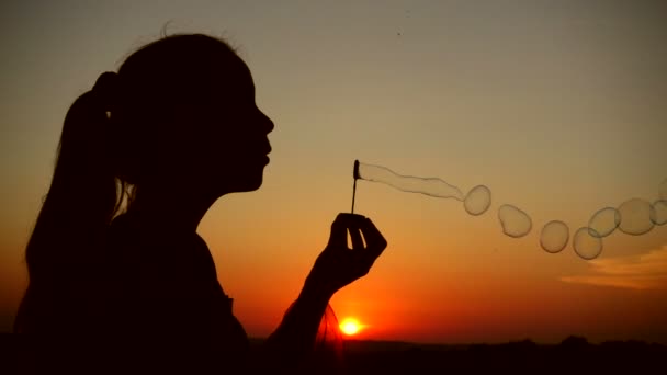 Yong ragazza soffiando le bolle di sapone contro il tramonto autunno, lenta m — Video Stock