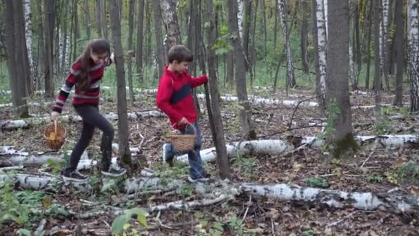 Діти гуляють в лісі і шукають гриби — стокове відео