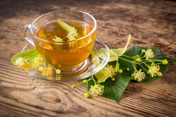 Teh herbal hijau dengan bunga linen — Stok Foto