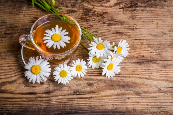 Cup of herbal tea with chamomile flowers — Stock Photo, Image