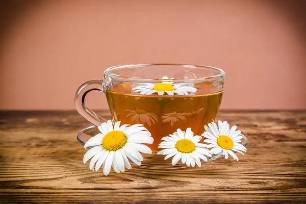 Kopp örtte med kamomillblommor — Stockfoto