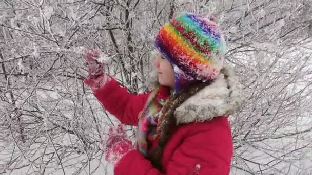 Menina adorável com galhos gelados na floresta de inverno — Vídeo de Stock