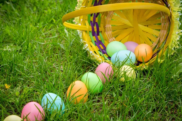 Oeufs de Pâques colorés sur la pelouse dans le panier — Photo