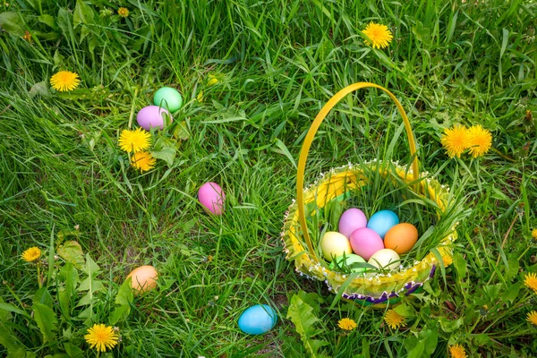 Fundo com ovos de páscoa coloridos no gramado e na cesta — Fotografia de Stock