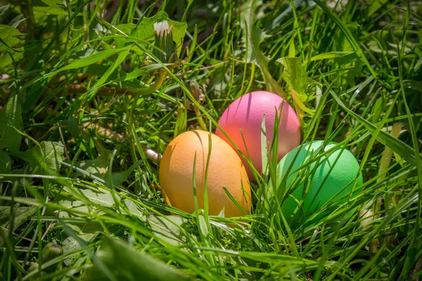 Fond avec des œufs de Pâques colorés sur la pelouse — Photo