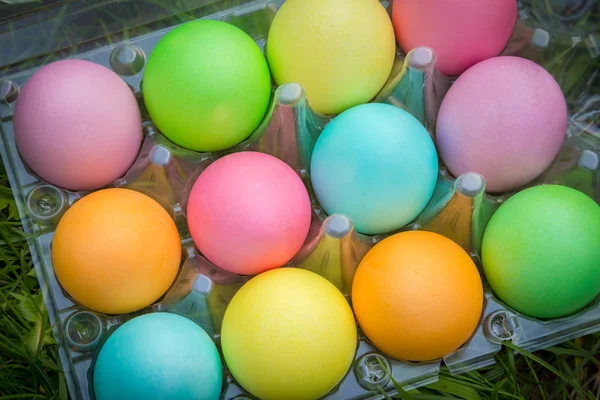 Ovos de páscoa coloridos na bandeja de plástico velho na grama verde — Fotografia de Stock