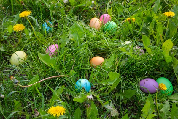 Fundo com ovos de Páscoa espalhados no prado — Fotografia de Stock