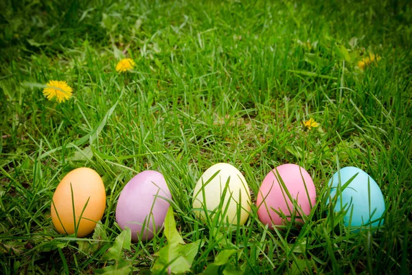 Achtergrond met Pasen eieren op weiland met ruimte voor tekst — Stockfoto