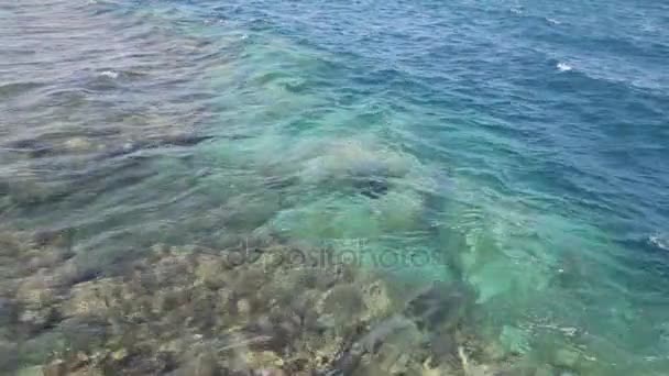 Fondo natural del agua en el Mar Rojo por encima del arrecife de coral — Vídeo de stock