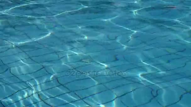 Natural background of blue water in the pool — Stock Video