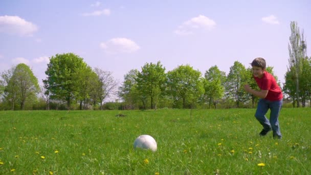 少年は、緑の草原、スローモーションでボールを打つ — ストック動画