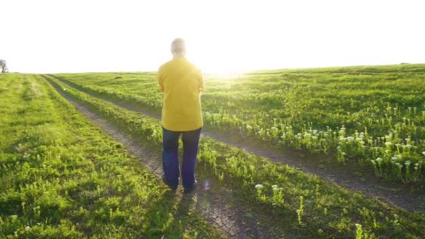 Padre girando a su hijo sosteniendo sus manos contra el atardecer — Vídeos de Stock