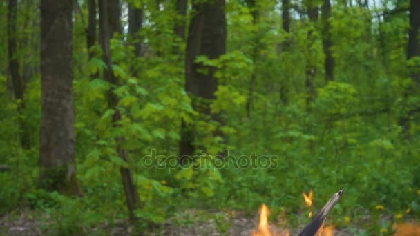 Fire on green forest background, wildfire concept, slow motion — Stock Video