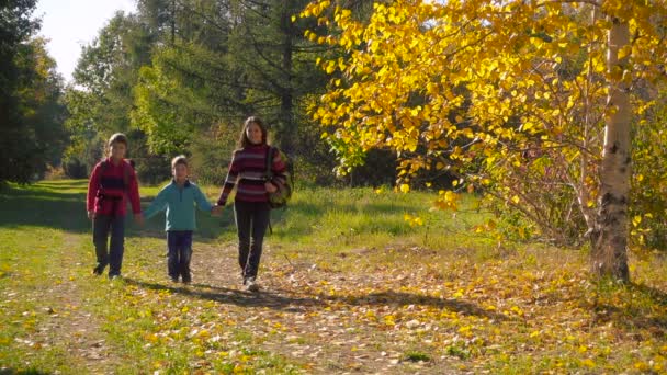 Трое счастливых детей ходят вместе в солнечном осеннем лесу — стоковое видео