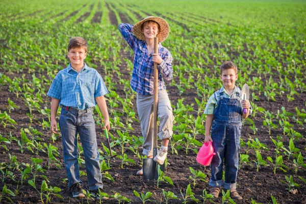 Smiling kids standing with shovel on green field — Stock Photo, Image