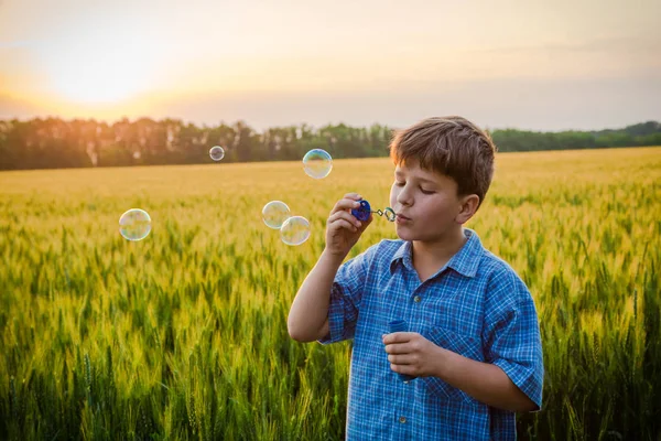 Sereno chico soplando las burbujas de jabón en el campo al atardecer —  Fotos de Stock