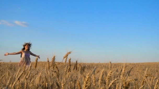 Chica corriendo en el campo de trigo dorado y tocando las orejas maduras — Vídeos de Stock