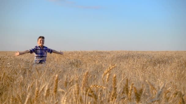 Niño corriendo en el campo de trigo dorado — Vídeos de Stock