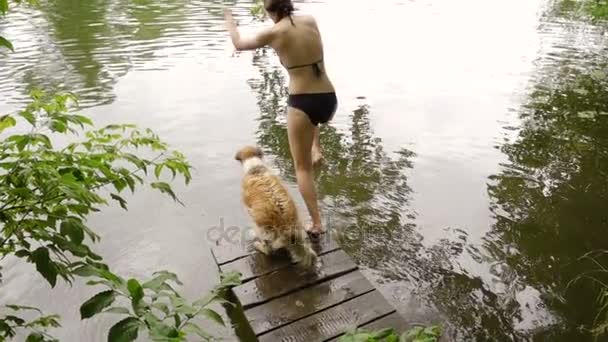 Collie-Hund springt mit jungem Mädchen in den Fluss — Stockvideo