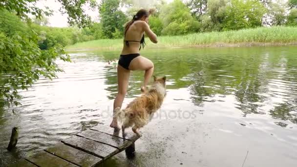 Genç kız dalış nehre Collie köpek — Stok video