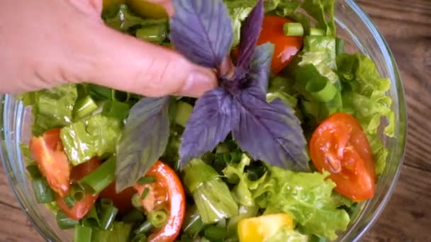 Salat in Glasschüssel mit Basilikumblättern würzen — Stockvideo