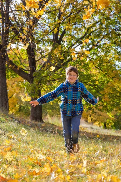 Ragazzo felice che corre sul soleggiato parco autunnale — Foto Stock