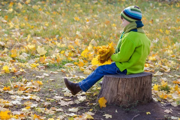 Garçon assis sur la souche dans le parc d'automne — Photo