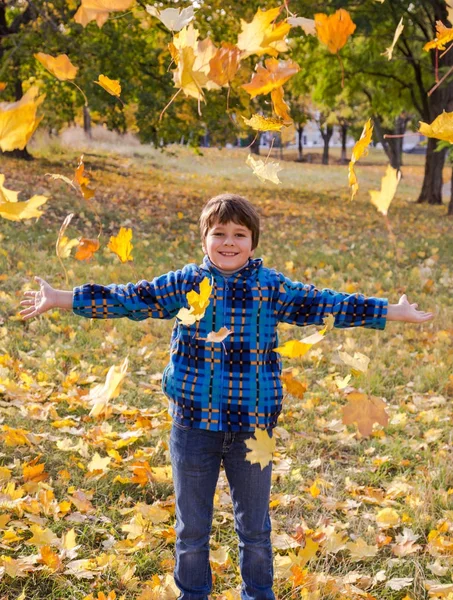 Ragazzo sorridente gettando foglie autunnali sul parco soleggiato — Foto Stock