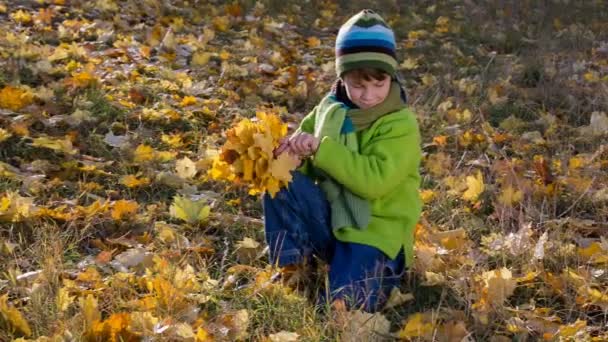 Хлопчик збирає букет з жовтим листям в парку — стокове відео