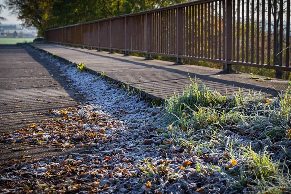 Jesienny poranek szron na opadłych liści na moście — Zdjęcie stockowe