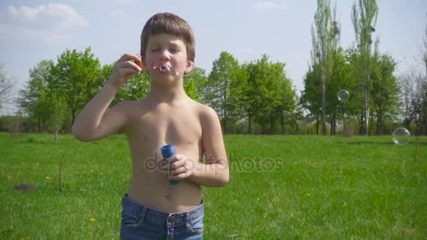 Мальчик надувает мыльные пузыри на зеленом лугу — стоковое видео