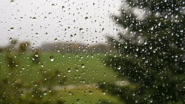 Kapky deště na okenní sklo — Stock video