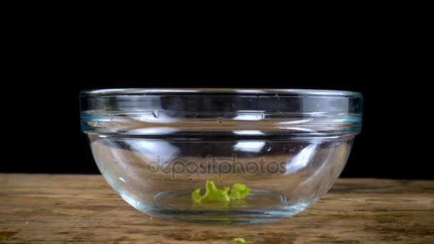 Falling salad leafs to empty glass bowl — Stock Video