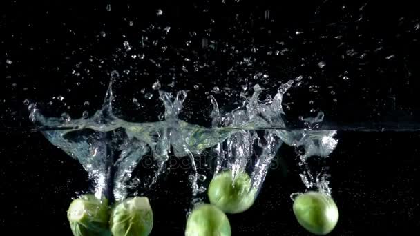 Brussels sprouts falling in water on black background — Stock Video