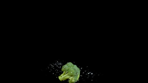 Fliegender Brokkoli auf schwarzem Hintergrund — Stockvideo