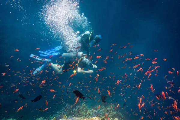 Scuba Instructeur duiken met student in de buurt van koraalriffen in de rode zee — Stockfoto