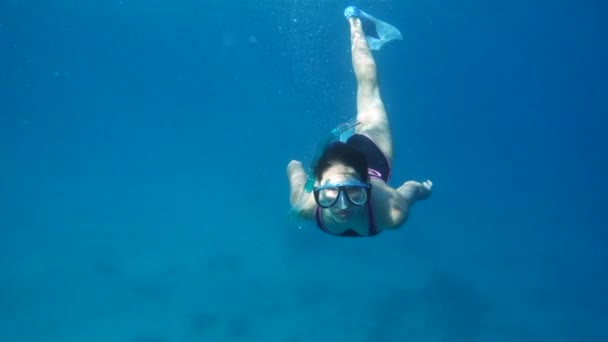 Tjej dyk i Röda havet med underwater mask — Stockvideo