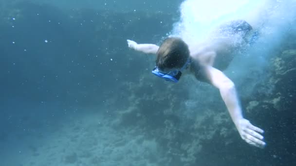 Junge taucht mit Unterwassermaske ins Rote Meer — Stockvideo