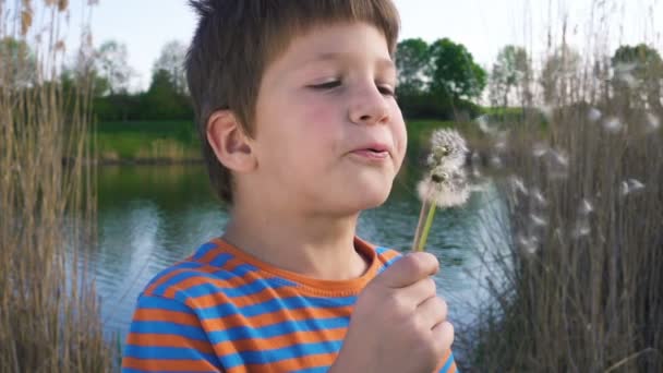 Маленький хлопчик підірвав кульбабу — стокове відео