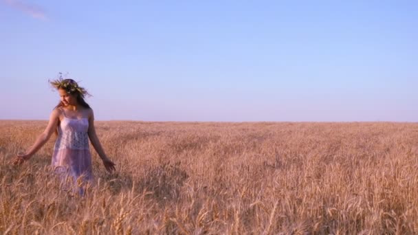 Девушка идет по золотому пшеничному полю, медленное движение — стоковое видео