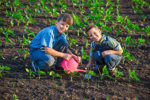 Two kids sitting with shovel on green field — Stock Photo, Image