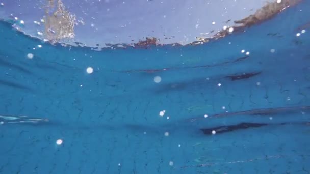Boy menyelam di kolam renang — Stok Video