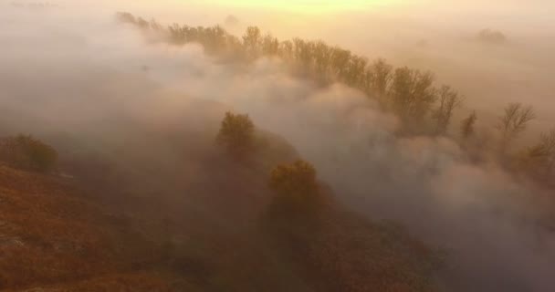 Вид с воздуха на реку под утренним туманом и золотыми холмами, Украина — стоковое видео