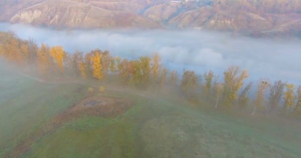 Widok z powietrza na rzekę pod poranną mgłą i złotymi wzgórzami, Ukraina — Wideo stockowe