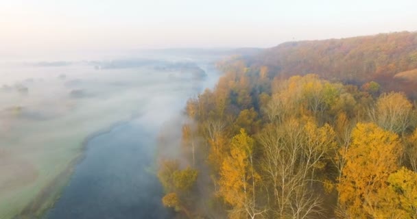 Вид с воздуха на реку под утренним туманом и золотыми холмами, Украина — стоковое видео