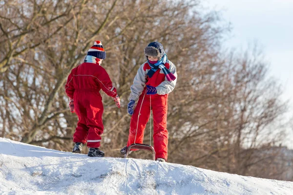 二人の兄弟が一緒に雪の丘で遊んでいる — ストック写真