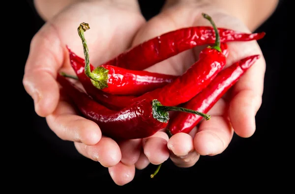 Pimenta vermelha nas palmas das mãos — Fotografia de Stock