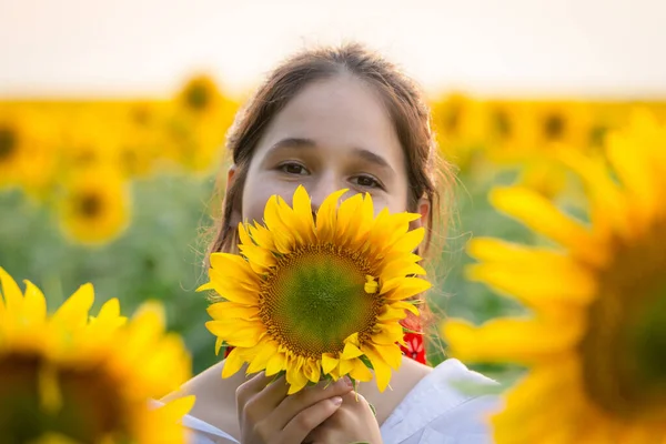 Portrait of adorable girl with sunflower on field — Stock Photo, Image